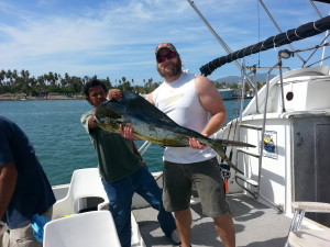Nice Dorado san jose del cabo fishing charters